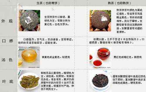 普洱茶发酵过程中的关键微生物及其作用：一篇全面的探索与解析