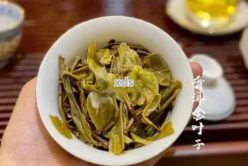 黄金叶普洱茶：品种特点、品质鉴别与饮用技巧，一篇全面解答