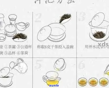 普洱茶冲泡步骤说明：从准备到倒出一整杯香浓的普洱茶