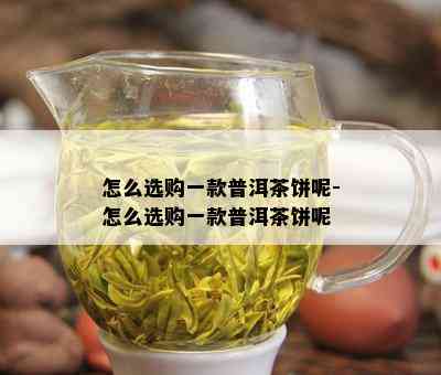 给我来一杯普洱茶什么意思