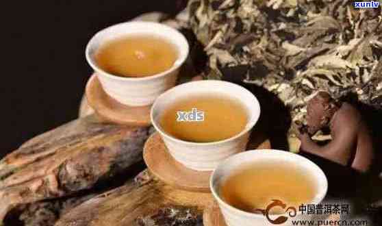 四大名茶中的普洱茶：品鉴独特韵味与健益处的秘密