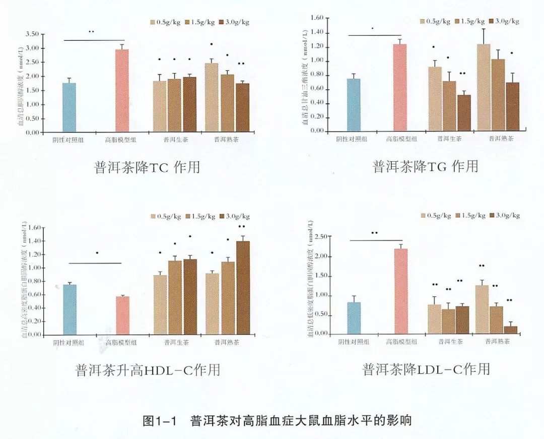 新普洱茶对油三酯血症患者的影响及适宜饮用方式探讨