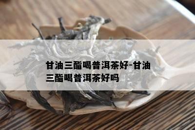 油三酯血症能喝普洱茶吗