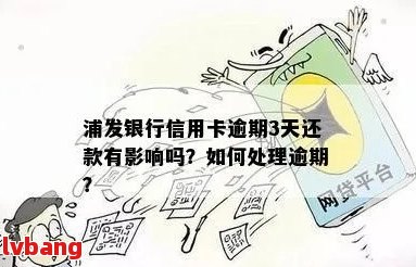 浦发二次分期后逾期一天还帐怎么办：解决方法与客服热线