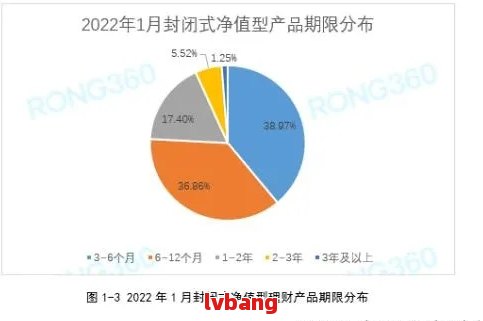 探索2021年中国逾期现象：人数统计、原因分析及应对措