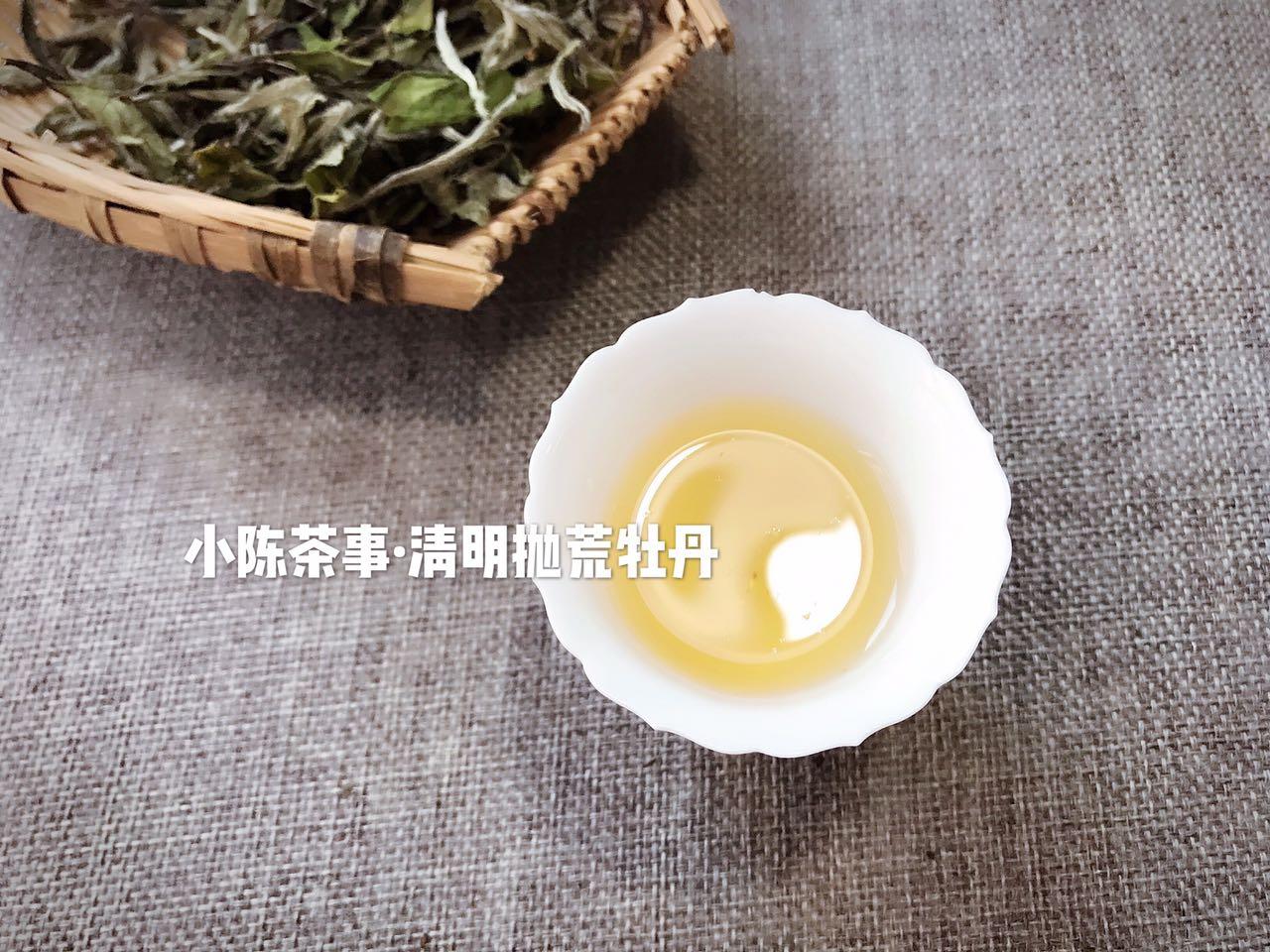 探究古代普洱茶的源流及其独特的饮茶文化