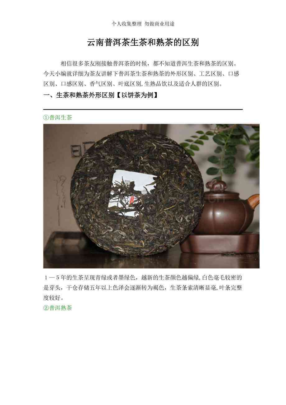 古代普洱茶：生茶与熟茶的辨析及其品质比较