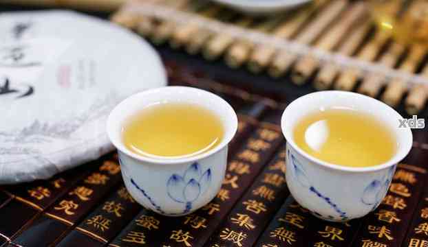 云南普洱茶品鉴：哪家的景迈茶更令人醉？