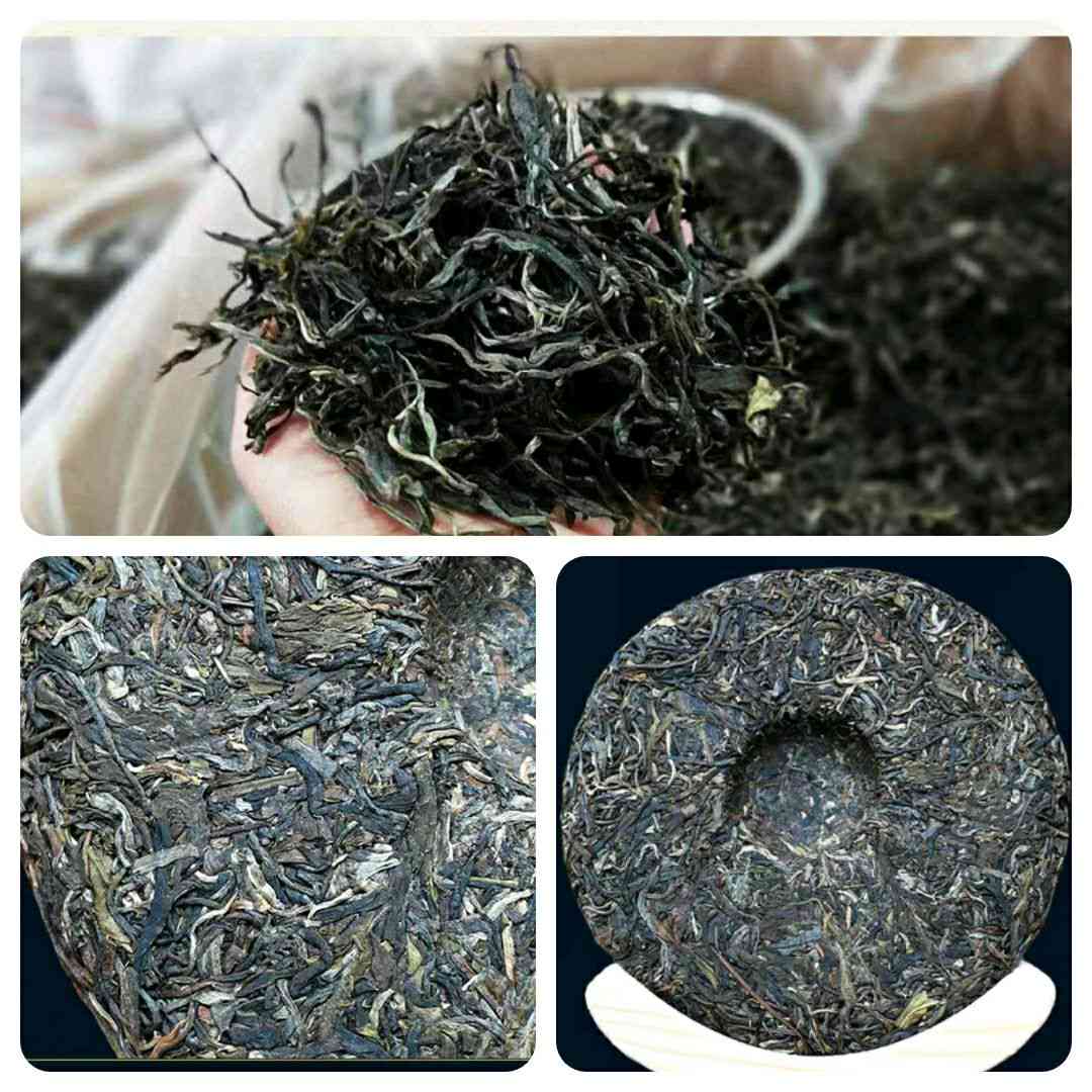 08年冰岛普洱茶生茶价格