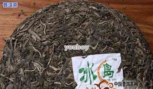 08年冰岛普洱茶生茶价格