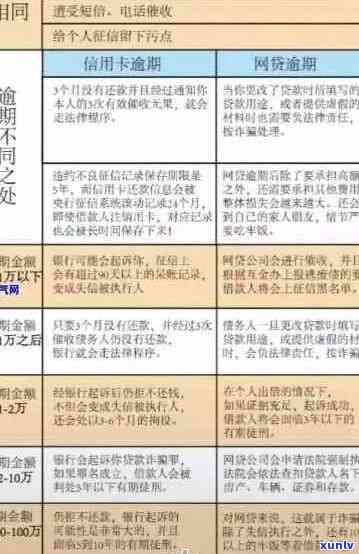 2020洋钱罐逾期还款期限全面解析：用户最关心的问题都在这里！