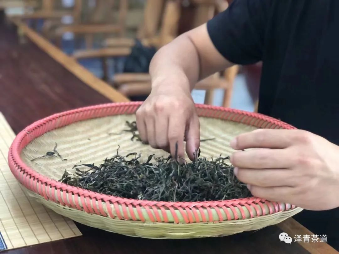 普洱茶内发现虫子，如何处理？