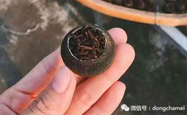 八柑产地、口感与品质如何？八马茶业的小青柑怎么样？