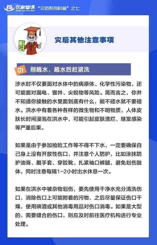 莫西沙脱砂皮：全面解析，从选购到使用注意事项，解答您的所有疑问