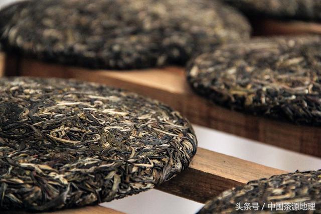 熟普洱茶中的小圆圈现象：正常还是品质问题？