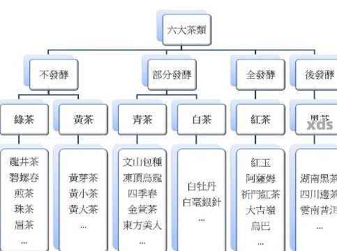 新普洱茶制茶工艺景观的特征分析及其与相关关键词的关系探讨