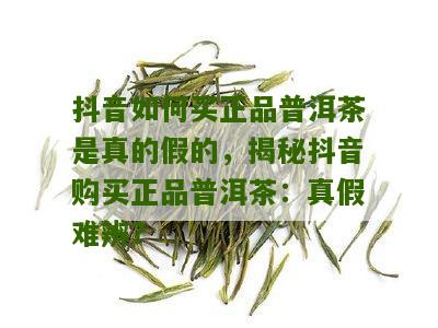 正品保障！抖音普洱茶旗舰店购物攻略，如何识别真假商品？