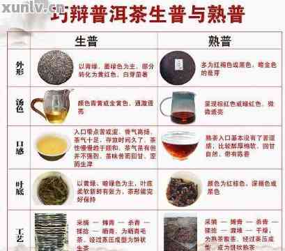 探究普洱茶醋制作秘方：成分比例与独特风味分析