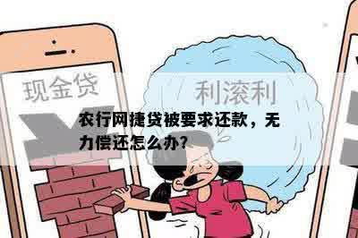 农行网捷贷贷出来怎么不能还款？无法再次借款怎么办？