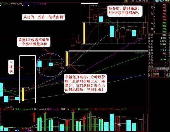 丁青象牙市场价格分析：全面了解象牙制品的价格走势与品质