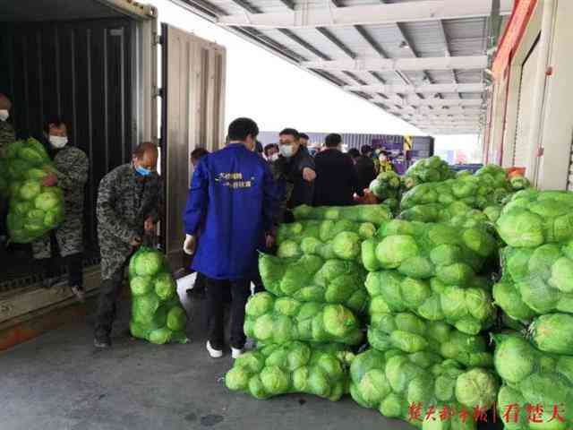 民生助粒主动还款失败：如何进行还款，提前还款和还款方式