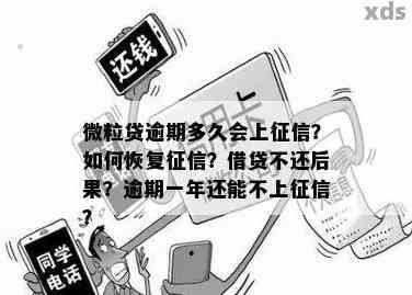 微粒贷逾期多久可以恢复正常：恢复时间与信用影响的全解