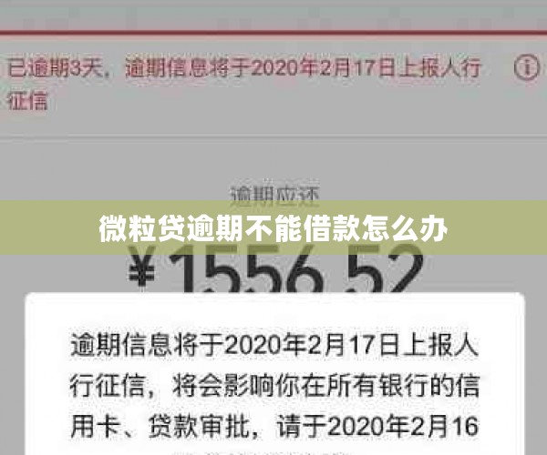 微粒逾期2天发信息说可借额度不能用了