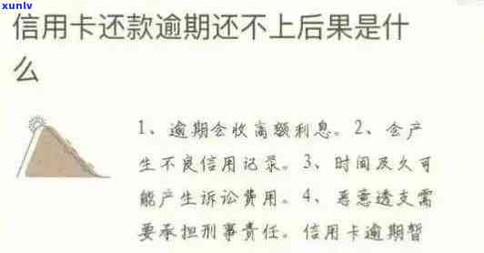 逾期两年的信用卡还款攻略：详细步骤与注意事项