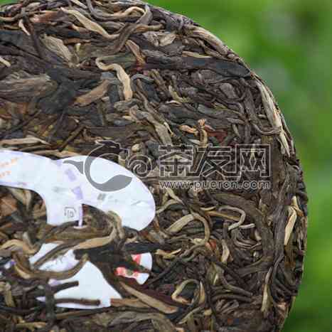 普洱茶价格查询：200克普洱茶多少钱？