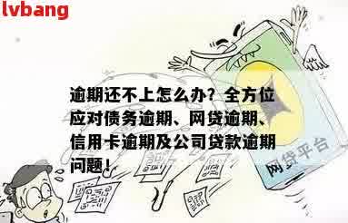 逾期贷款解决方案：哪些平台可以提供贷款服务以应对逾期情况？