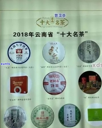 全面了解十大畅销普洱茶排名榜，助您轻松选购优质茶品