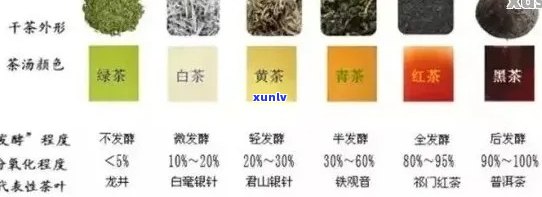 普洱茶2号和1号的区别：详尽解析