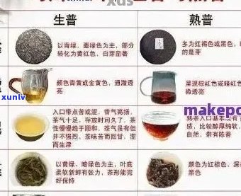 普洱茶2号和1号的区别：详尽解析