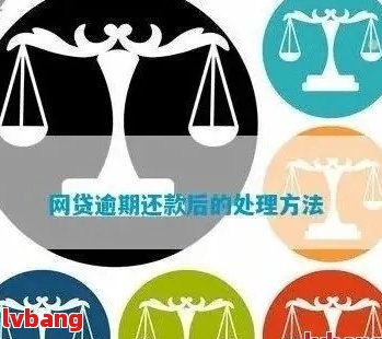 网贷逾期还款顺序怎么排：解决方案与建议