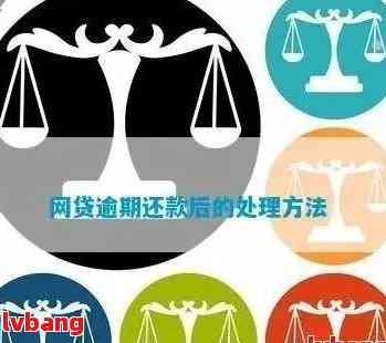 网贷逾期还款顺序调整方法：如何最快、最新完成？