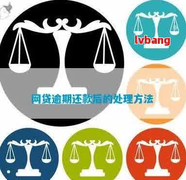 网贷逾期还款攻略：如何避免罚息、期还款影响，实现快速还清