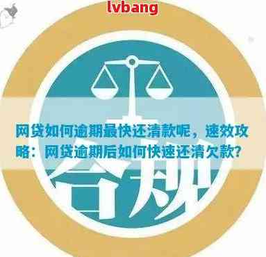 网贷逾期还款攻略：如何避免罚息、期还款影响，实现快速还清