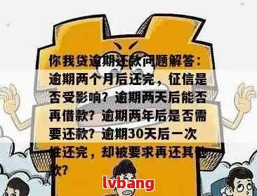 停息还款期限及提前还款可能性：详细解答与建议