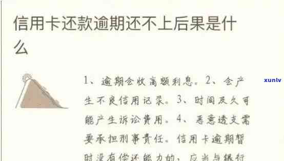 停息期还款：如何操作及含义解读