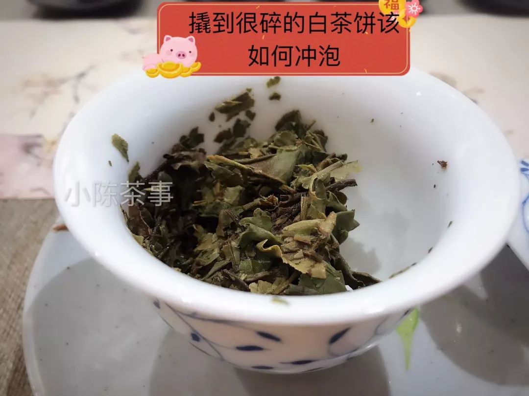 全面掌握普洱茶生饼的冲泡技巧，让你品尝到更美味的茶