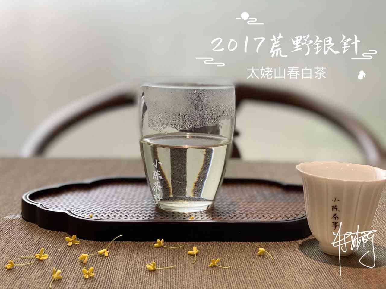 全面解析：绿茶风味普洱茶推荐，让你品尝到不一样的普洱茶魅力