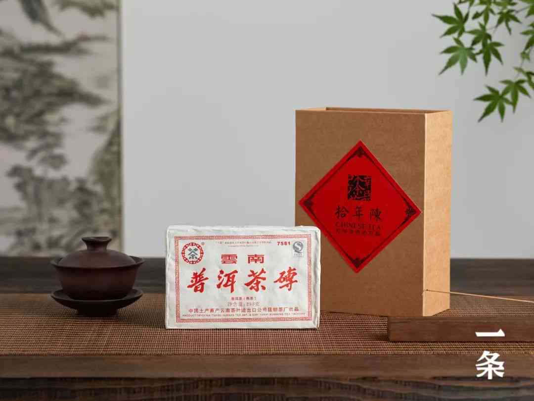 普洱茶是不是老砖茶的一种茶：探究普洱茶与老砖茶的关系