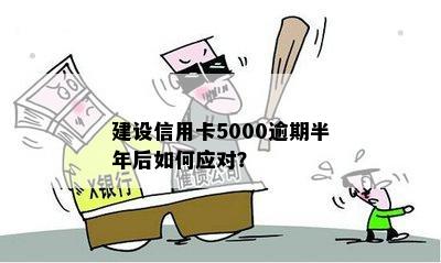 五年逾期未还的建行信用卡5000元：处理策略与建议