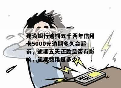 五年逾期未还的建行信用卡5000元：处理策略与建议