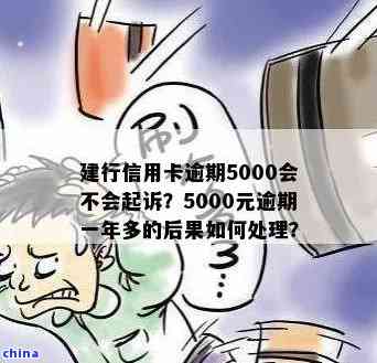 五年逾期未还的建行信用卡5000元：处理策略与建议