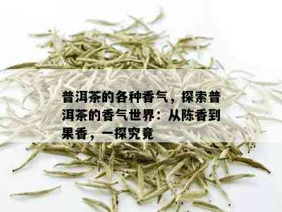 新 '探索沉香普洱茶的世界：多种品种与你共享独特的香气'