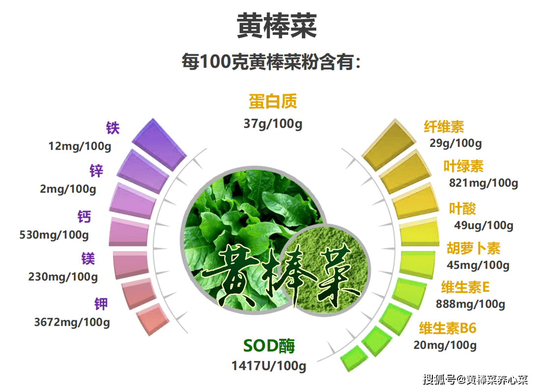 婆罗花籽料：用途、种植、营养价值和购买渠道的全面指南