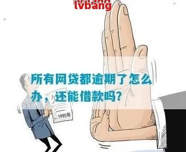 被错误指控逾期贷款，我该如何申诉？