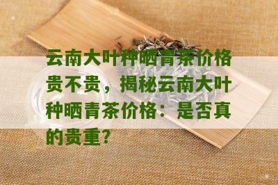 云南大叶青茶叶价格表与品种解析