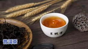 茶王树普洱茶口感特点：产地与风味介绍